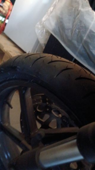 Aprilia RS 125 2T - Culo Avispa