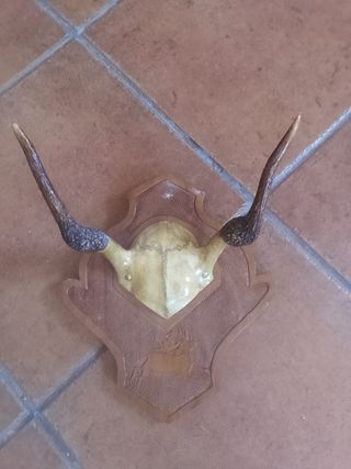 Antiguo perchero de madera