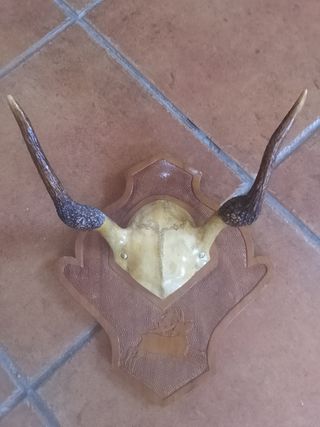 Antiguo perchero de madera