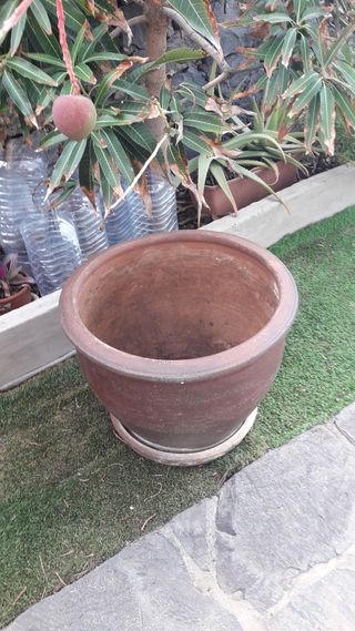 Macetero de barro modelo  Canario