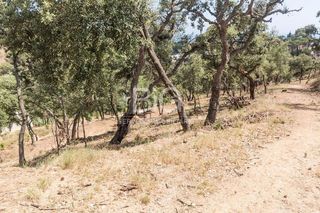 Terreno en venta en Urbanitzacions en Mataró