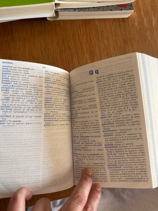 Dicc. Avanzado Frances