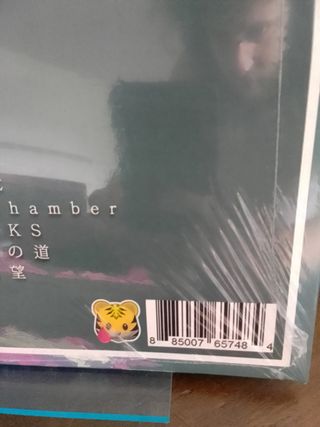 Vinile Maitro Dragon Ball Wave limitato.