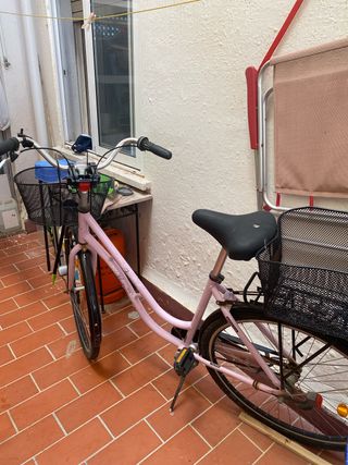 Bicicleta Clásica Danesa