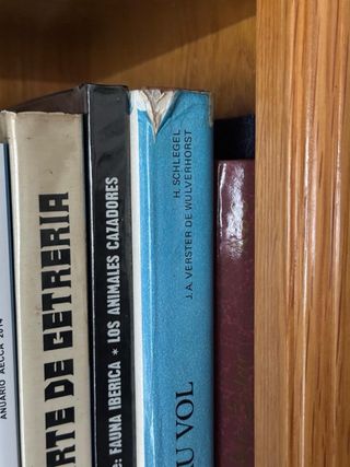 La chasse au vol libro fotografia