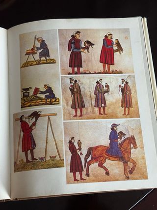 La chasse au vol libro fotografia