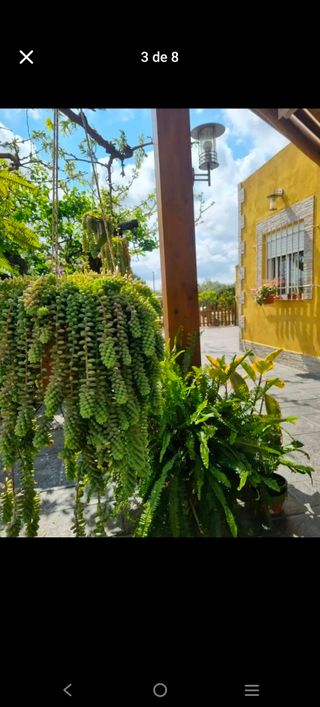 Chalet con jardín en Reus