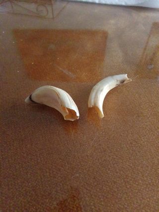 Accesorios para joyas