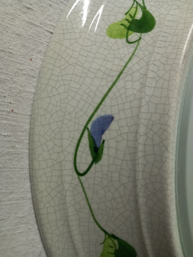 Plafoniera ceramica fiori | Vetro satinato