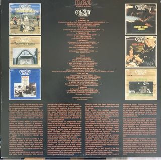 Vendo Vinile Country Music ... 16 successi!