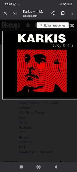 CD Karkis - In my brain