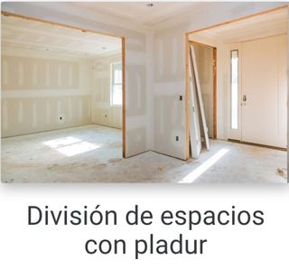 PLADURISTA PARTICULAR 