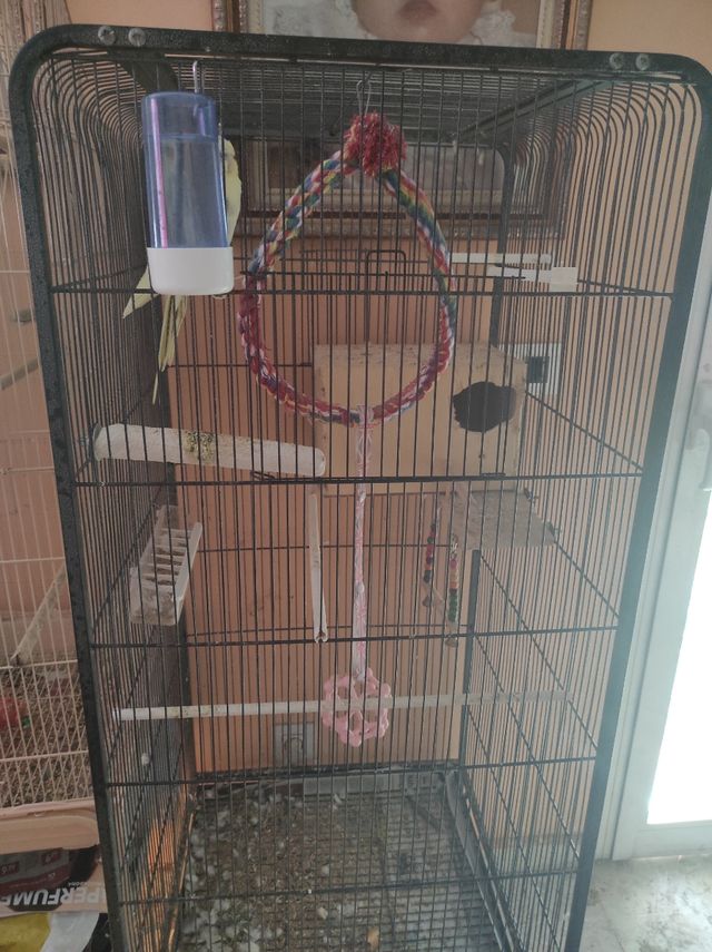 Jaula pajaros Cadoca XL