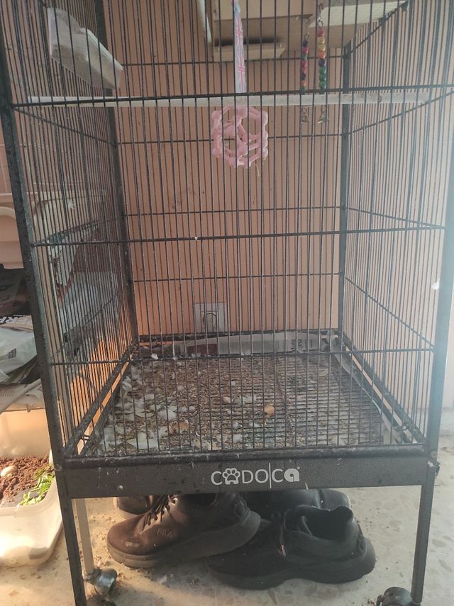 Jaula pajaros Cadoca XL