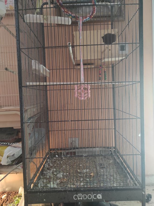 Jaula pajaros Cadoca XL