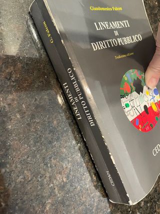 Lineamenti di diritto pubblico