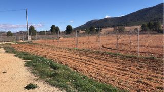 Encantadora parcela rústica disponible en Bullas