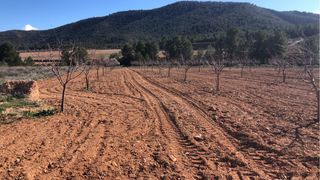 Encantadora parcela rústica disponible en Bullas