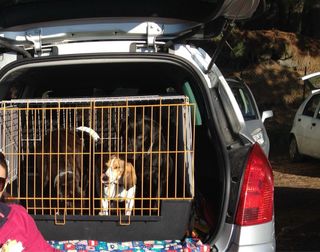 Trasportino cani Ferplast Atlas Vision XL