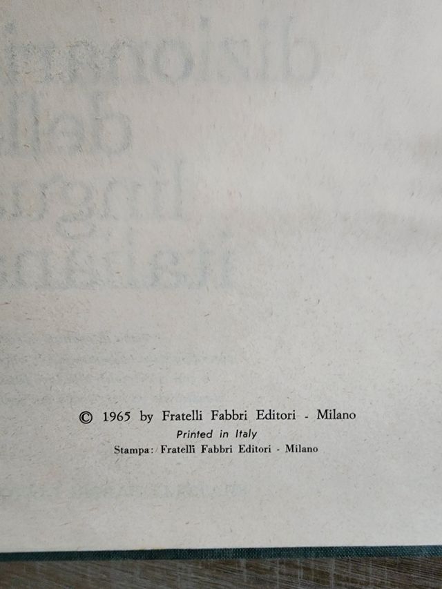Dizionario della lingua italiana vintage