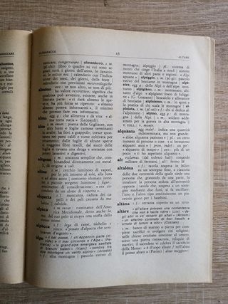 Dizionario della lingua italiana vintage