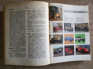 Dizionario della lingua italiana vintage