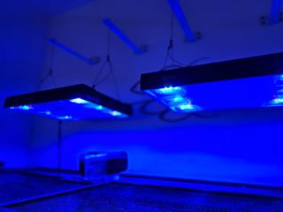 Calha Pantalla Aquario marino Alpha pacific sun