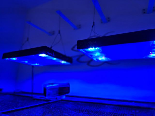 Calha Pantalla Aquario marino Alpha pacific sun