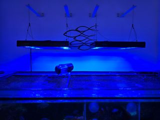 Calha Pantalla Aquario marino Alpha pacific sun