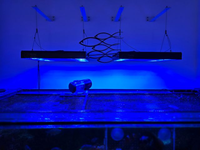 Calha Pantalla Aquario marino Alpha pacific sun