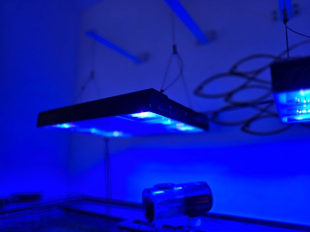 Calha Pantalla Aquario marino Alpha pacific sun