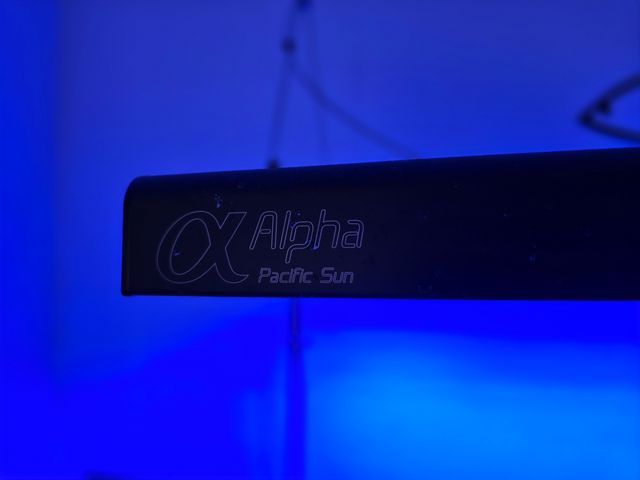 Calha Pantalla Aquario marino Alpha pacific sun
