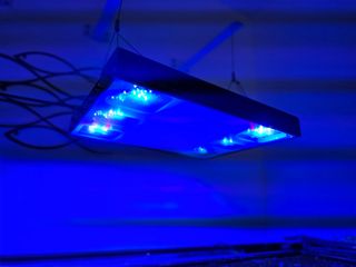 Calha Pantalla Aquario marino Alpha pacific sun