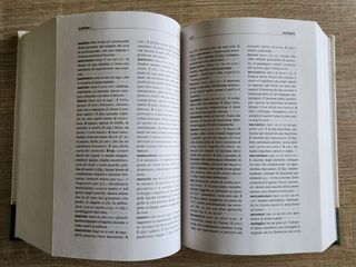 Dizionario italiano Mariotti