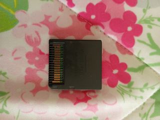 Pokemon Ranger - Nintendo DS