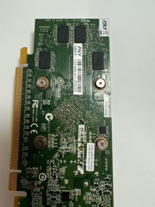 Tarjeta gráfica NVIDIA Quadro 600 PNY