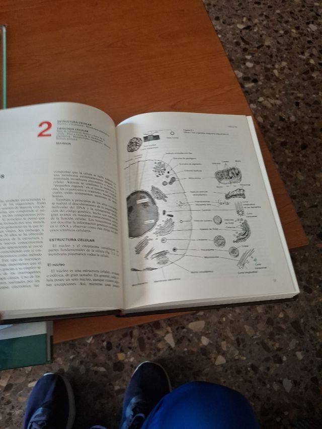 Texto básico anatomía y fisiologia