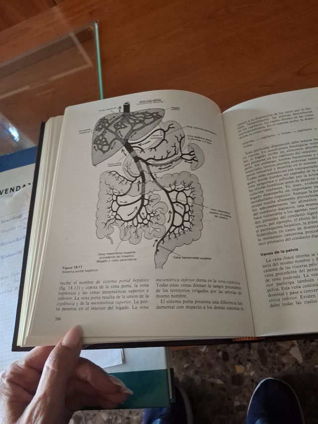 Texto básico anatomía y fisiologia
