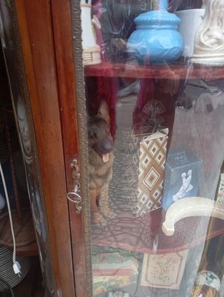 Vitrina antigua Luis XV
