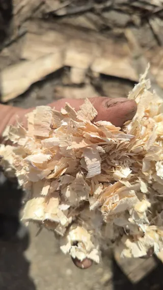 Viruta ecológica 100% seca 6 euros la alpaca