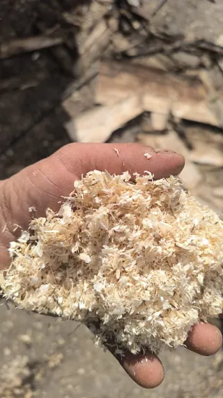 Viruta ecológica 100% seca 6 euros la alpaca