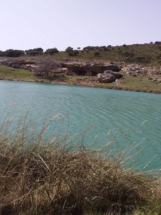 limpio