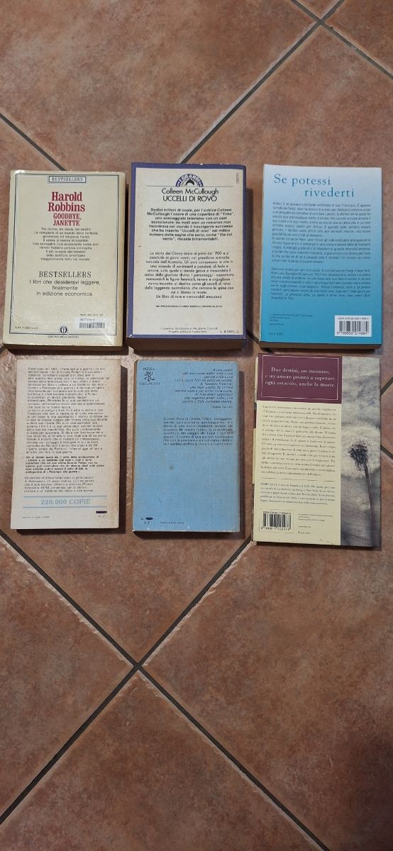 Se potessi rivederti. Un sogno infranto può tra...