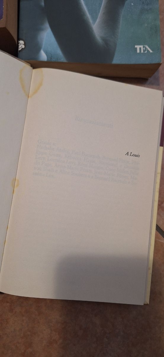 Se potessi rivederti. Un sogno infranto può tra...