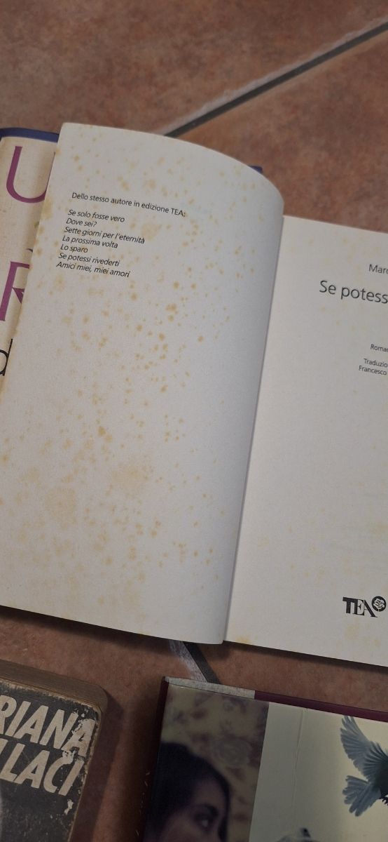 Se potessi rivederti. Un sogno infranto può tra...