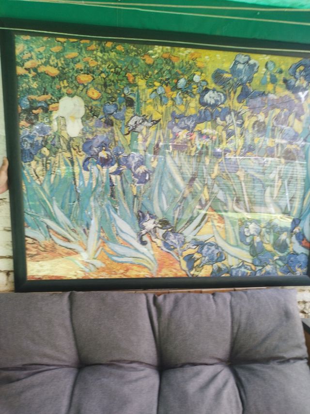 Cuadro Iris Van Gogh