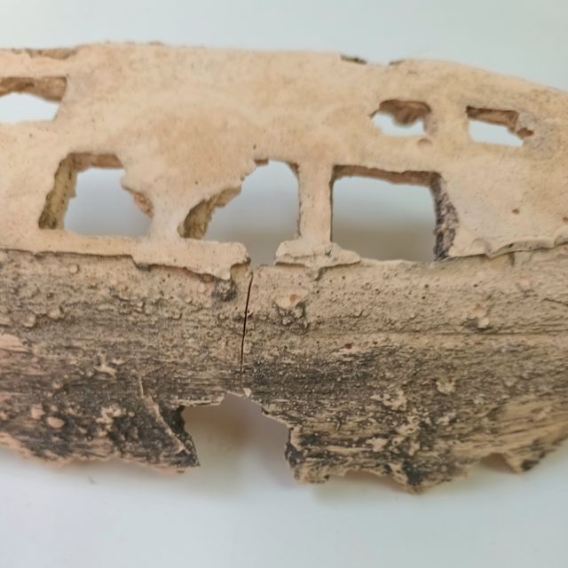 Decoracion Acuario de resina