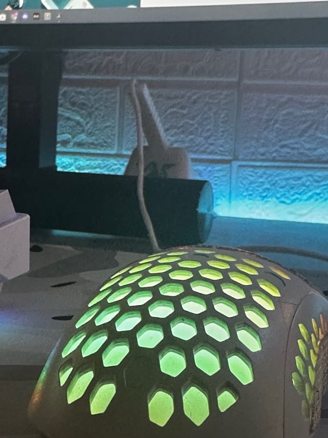 Bungee Mouse Gaming R4zer