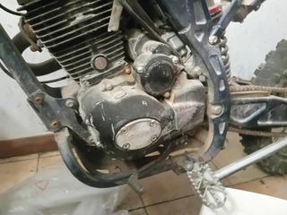 Pit bien 250 motor zongshen