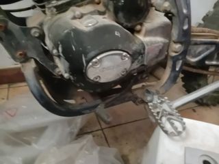 Pit bien 250 motor zongshen